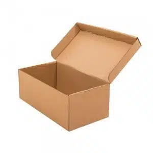 cutii carton natur cu capac pentru incaltaminte